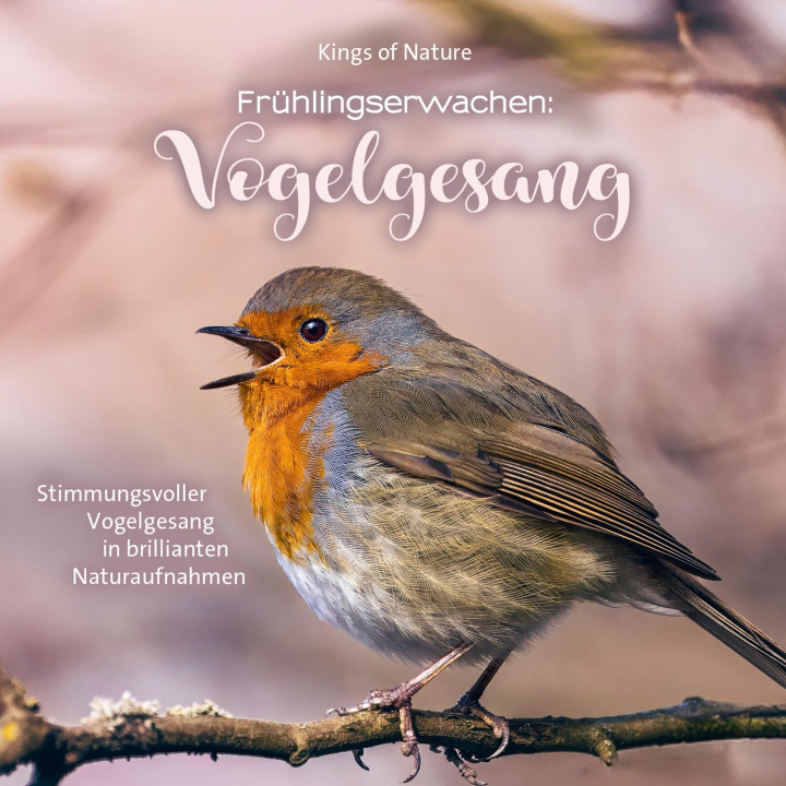 Audio Frühlingserwachen: Vogelgesang 