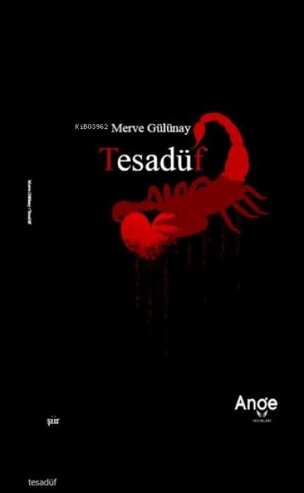Kniha Tesadüf 