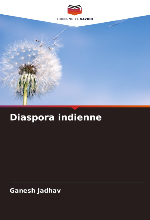 Kniha Diaspora indienne Ganesh Jadhav