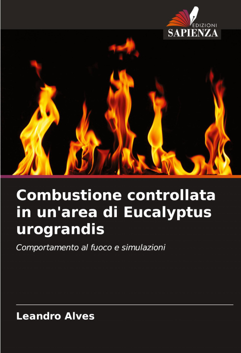 Libro Combustione controllata in un'area di Eucalyptus urograndis Leandro Alves