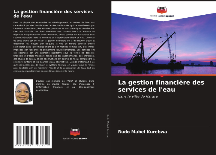 Knjiga La gestion financi?re des services de l'eau Rudo Mabel Kurebwa