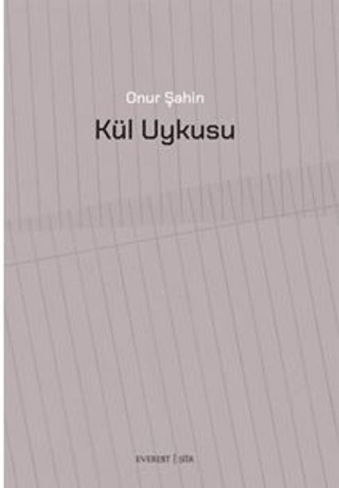 Kniha Kül Uykusu 