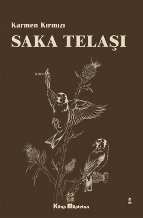 Kniha Saka Telasi 