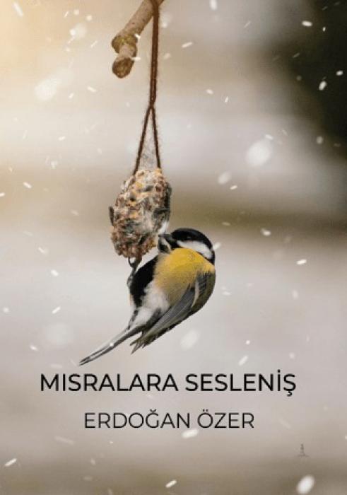 Kniha Misralara Seslenis 
