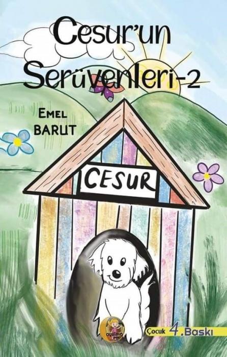 Kniha Cesurun Serüvenleri 2 