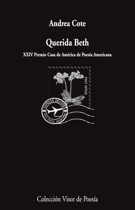 Kniha Querida Beth Andrea Cote