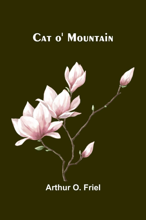 Kniha Cat o' Mountain Arthur O. Friel