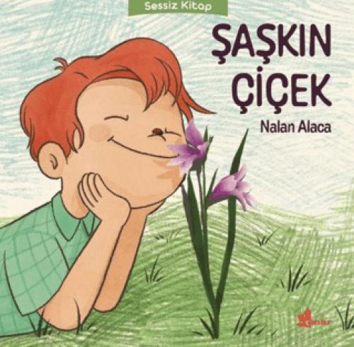Knjiga Saskin Cicek 
