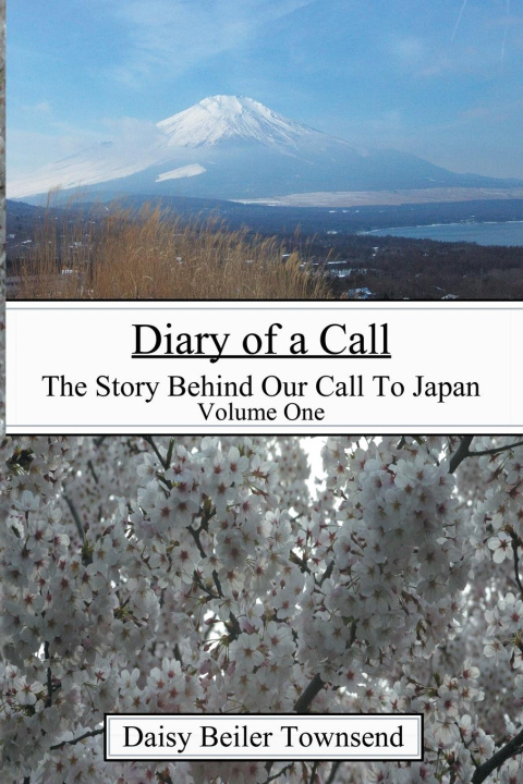 Kniha Diary of a Call Daisy Beiler Townsend