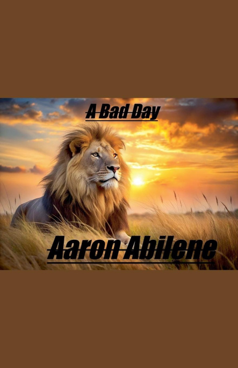 Kniha A Bad Day Aaron Abilene