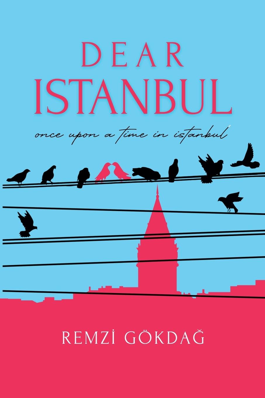 Kniha Dear Istanbul Remzi Gökdağ