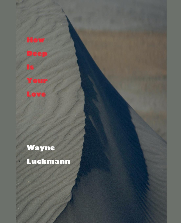 Kniha How Deep Is Your Love Wayne Luckmann
