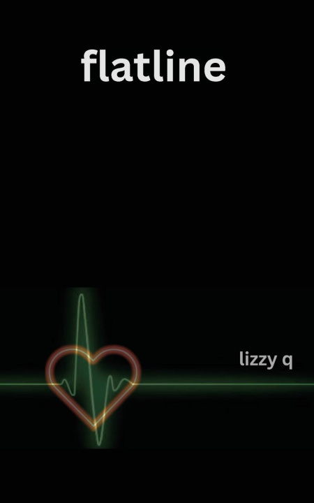 Kniha Flatline lizzy q