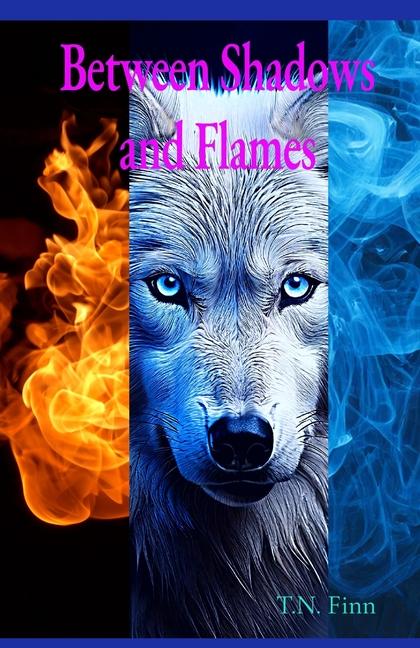 Buch Between Shadows and Flames 