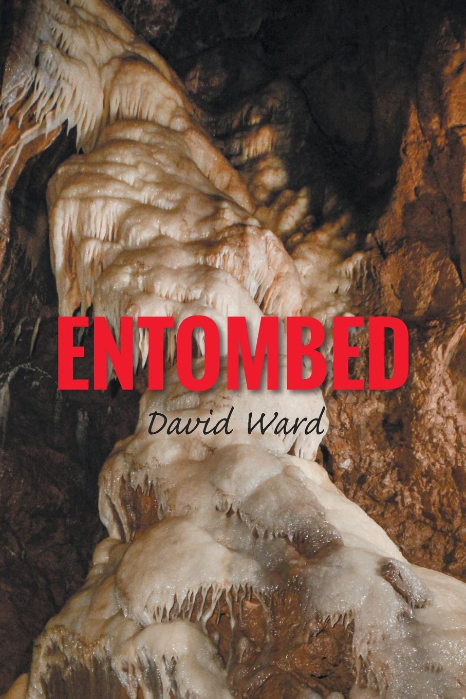 Kniha Entombed David Ward