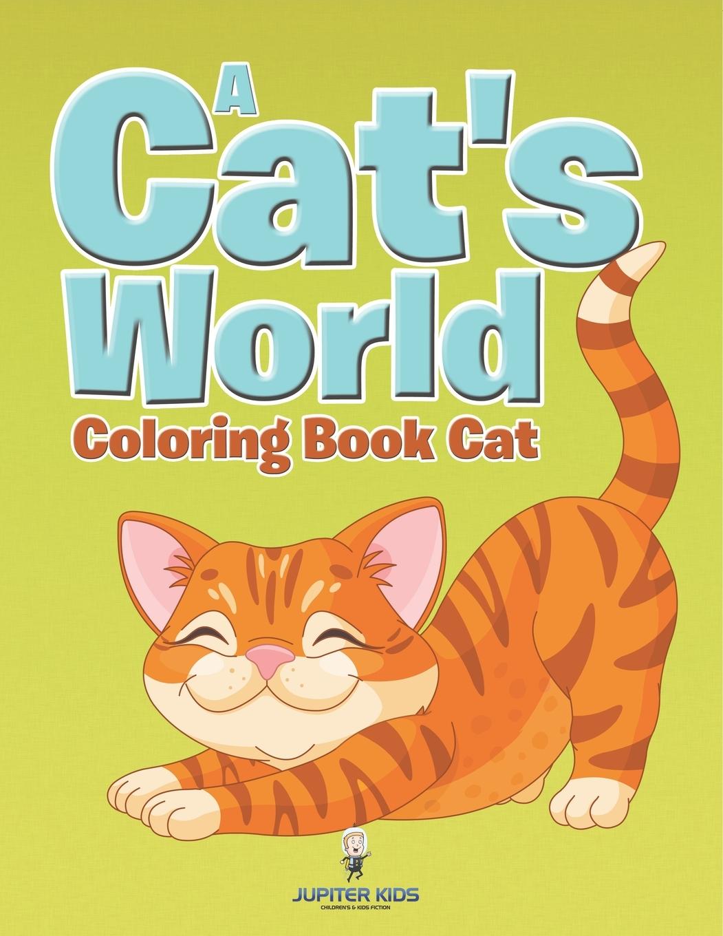 Kniha A Cat's World Jupiter Kids