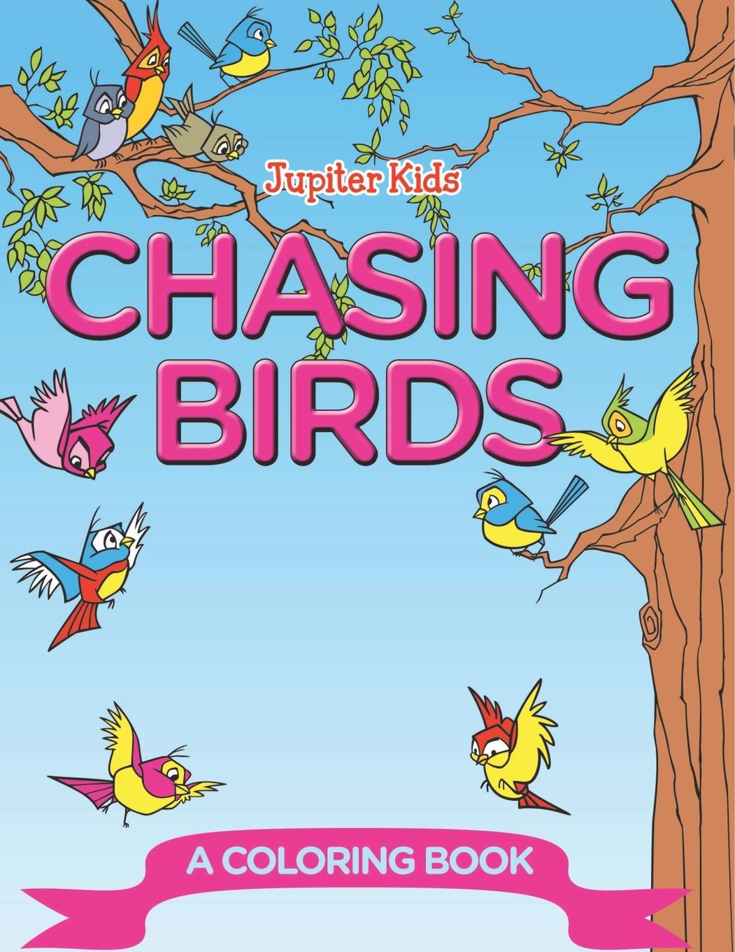 Knjiga Chasing Birds (A Coloring Book) Jupiter Kids