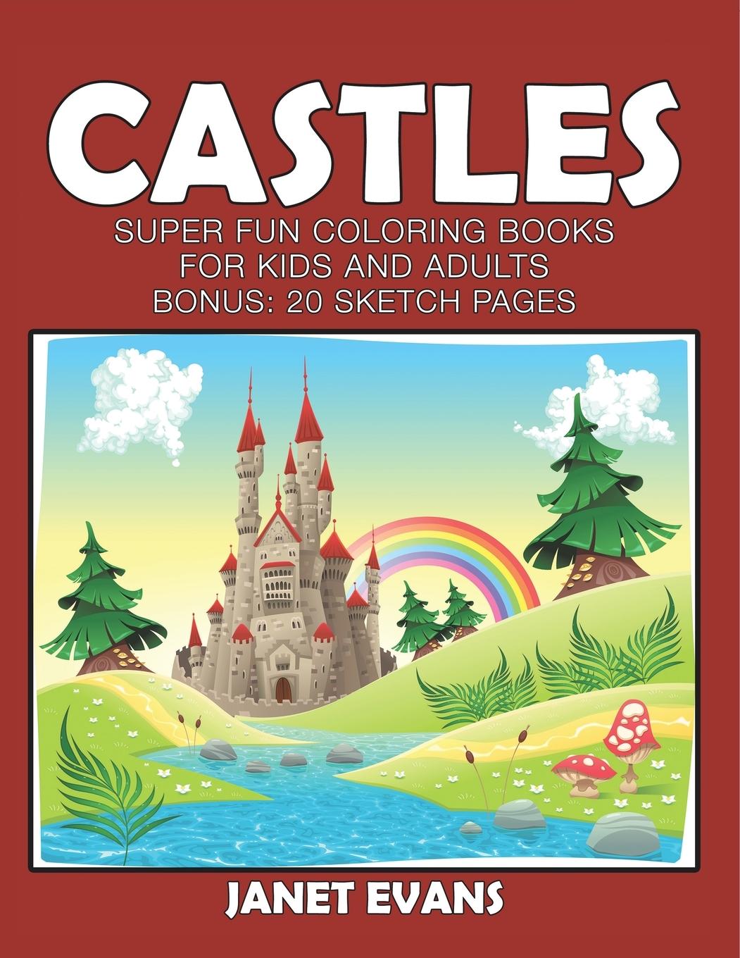 Kniha Castles Janet Evans