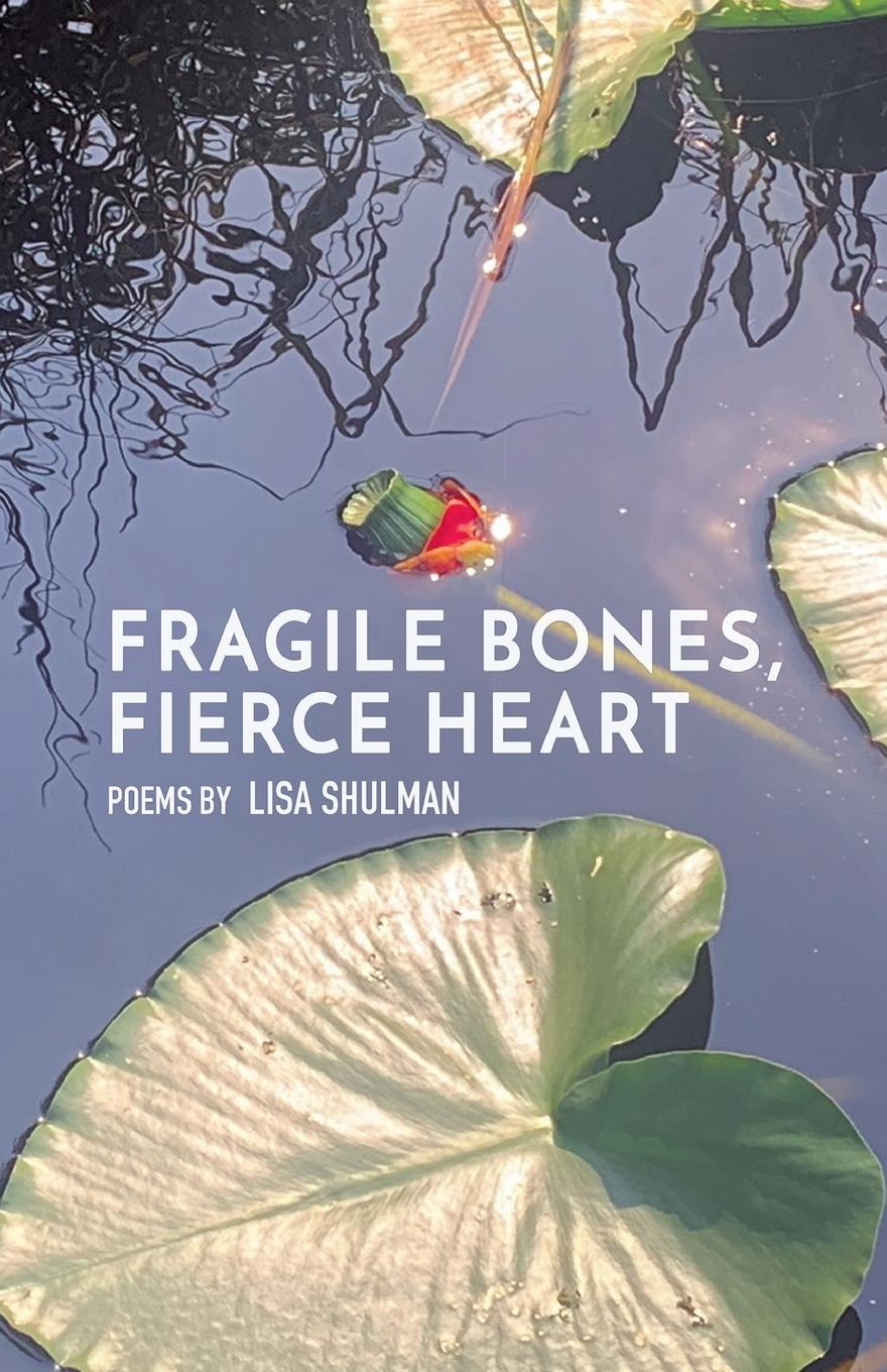 Kniha Fragile Bones, Fierce Heart Lisa Shulman