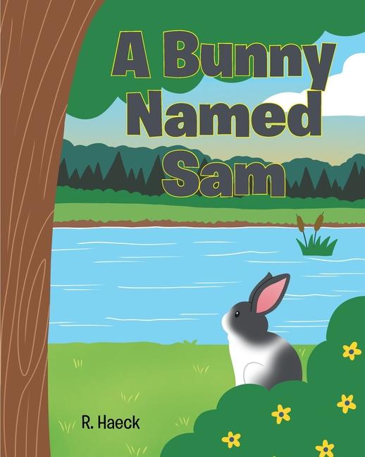 Kniha A Bunny Named Sam R. Haeck
