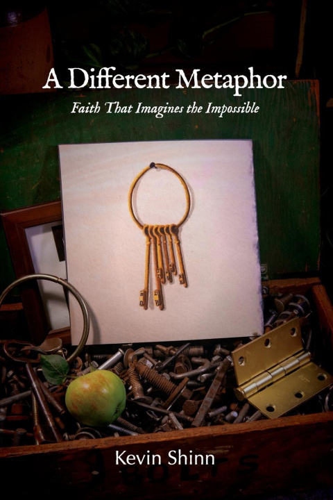 Knjiga A Different Metaphor Kevin Shinn