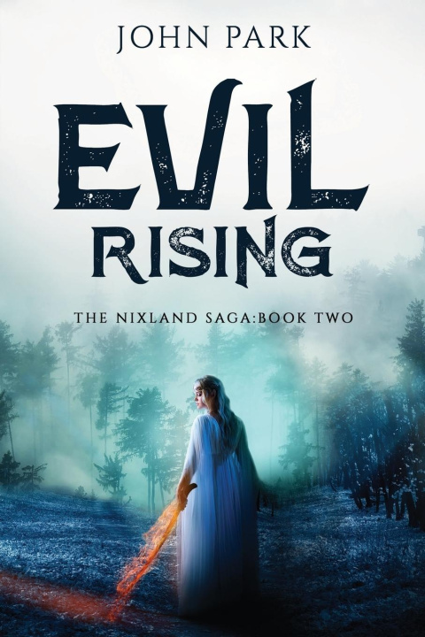 Kniha Evil Rising John Park