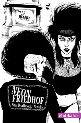 Kniha Neon Friedhof Jan-Erik Mendel