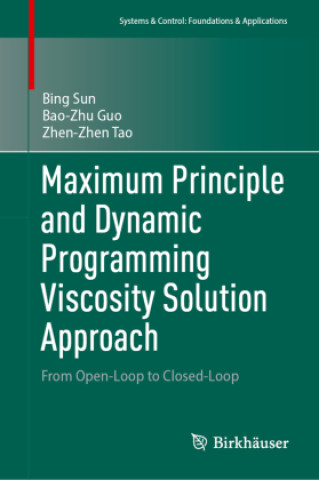 Kniha Maximum Principle and Dynamic Programming Viscosity Solution Approach Bing Sun