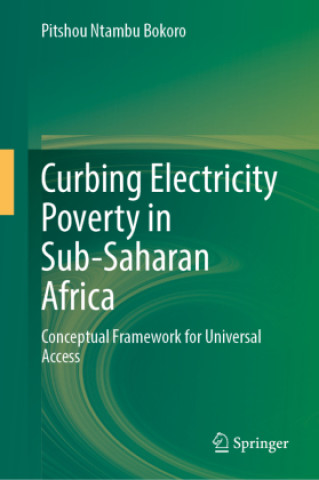 Kniha Curbing Electricity Poverty in Sub-Saharan Africa Pitshou Ntambu Bokoro