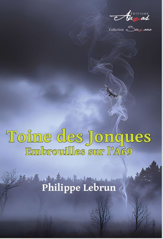 Kniha TOINE DES JONQUES LEBRUN
