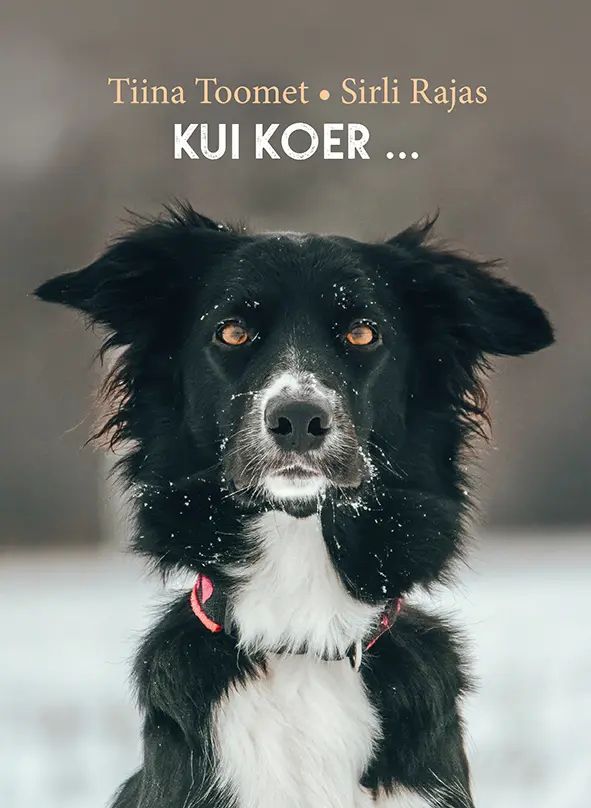 Kniha Kui koer. . . Tiina Toomet