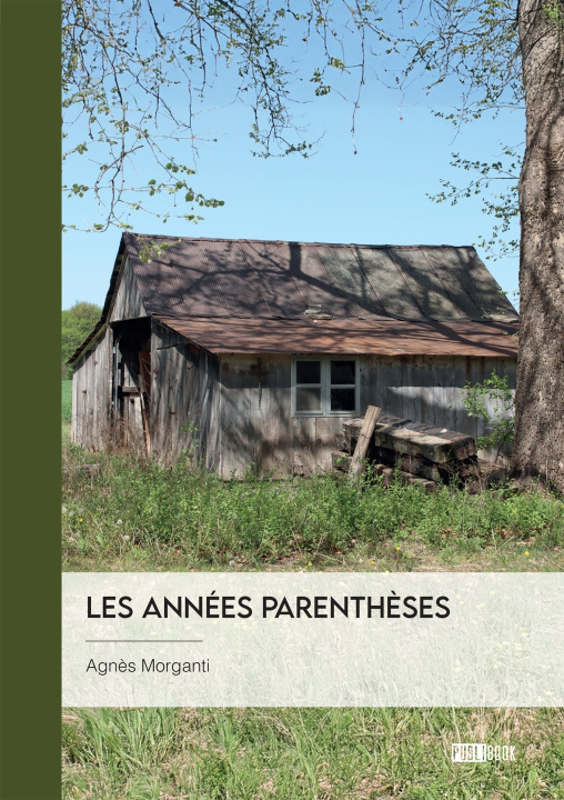 Kniha Les années parenthèses Agnès Morganti