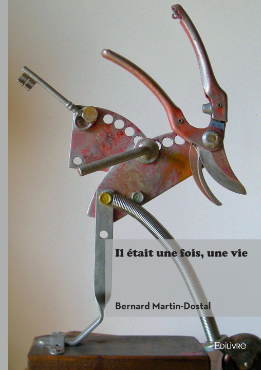 Kniha Il était une fois, une vie Bernard Martin-Dostal