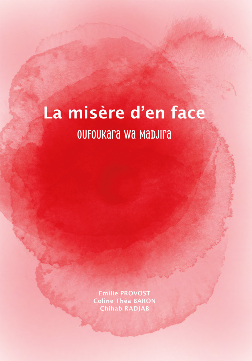 Kniha LA MISÈRE D'EN FACE Provost