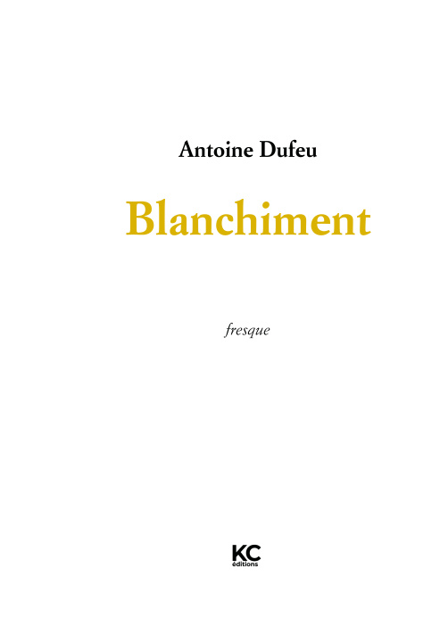Kniha BLANCHIMENT DUFEU ANTOINE