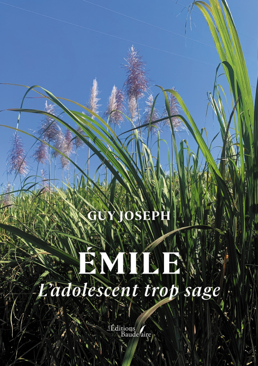 Knjiga Émile Guy JOSEPH