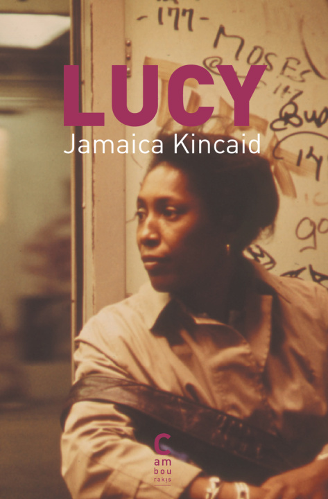 Buch Lucy Kincaid