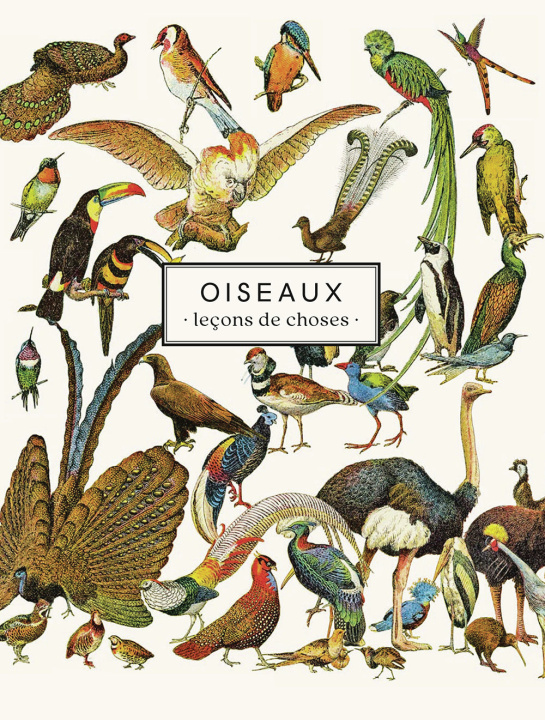 Книга CARNET OISEAUX COLLECTIFS LES JOLIES PLANCHES