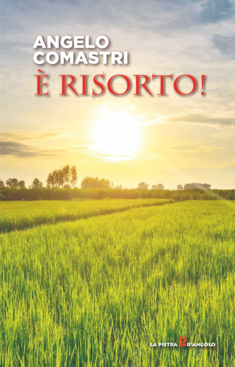 Knjiga È risorto! Angelo Comastri