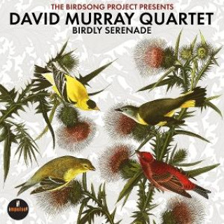 Audio Birdly Serenade David Murray Quartet