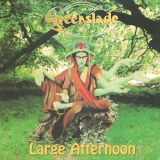 Audio Large Afternoon - Expanded 2CD Edition 