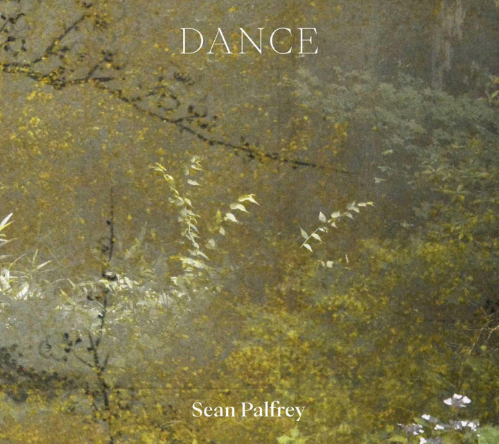 Kniha Dance PALFREY SEAN