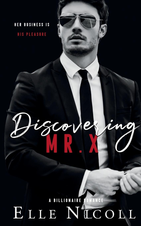 Buch Discovering Mr. X Elle Nicoll