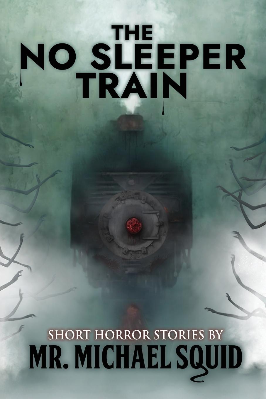 Kniha The No Sleeper Train Velox Books