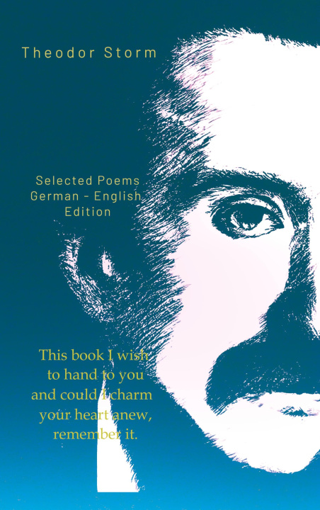 Buch Theodor Storm Albrecht Kienow