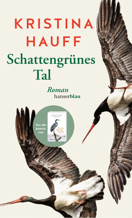 Buch Schattengrünes Tal Kristina Hauff