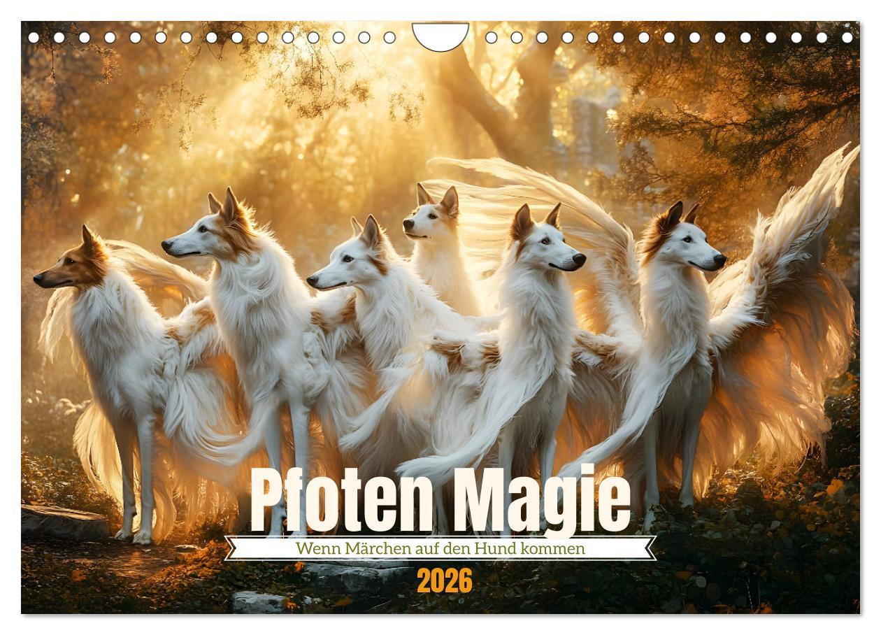 Kalendár/Diár Pfoten Magie (Wandkalender 2026 DIN A4 quer), CALVENDO Monatskalender Calvendo