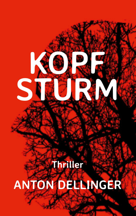 Kniha Kopfsturm 