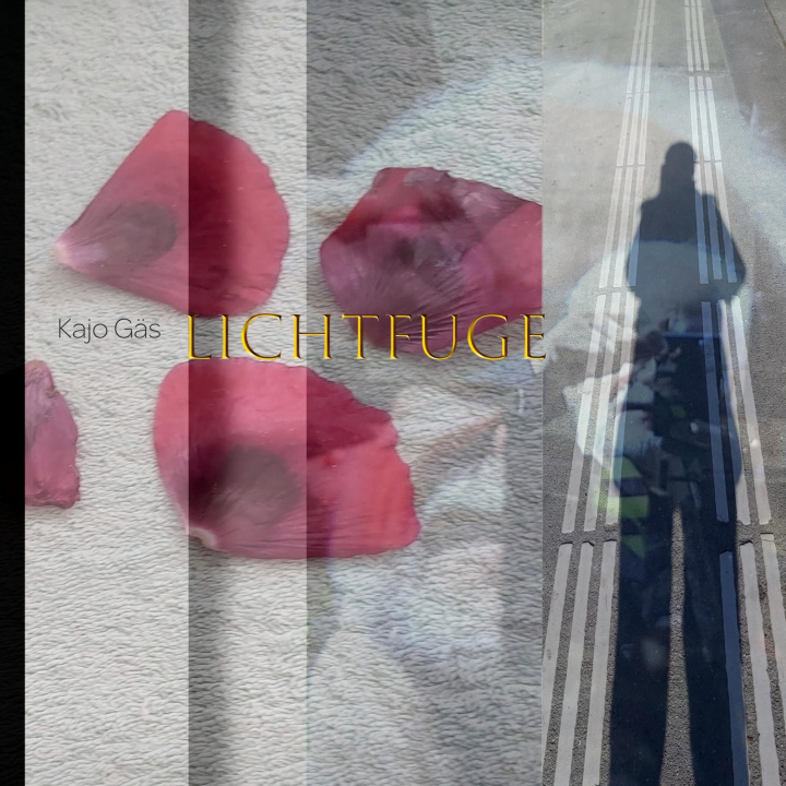 Book Lichtfuge 