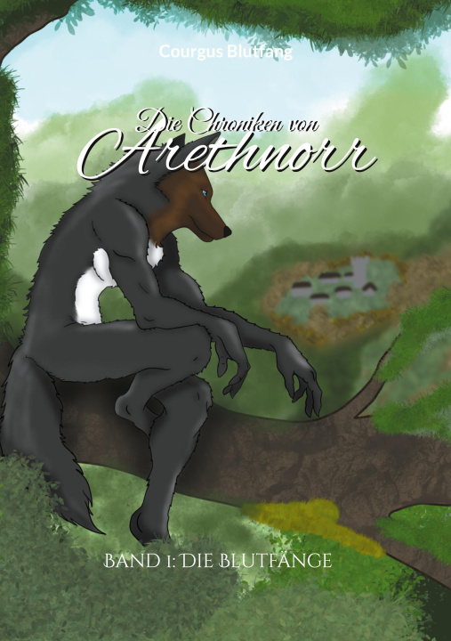 Book Die Chroniken von Arethnorr 